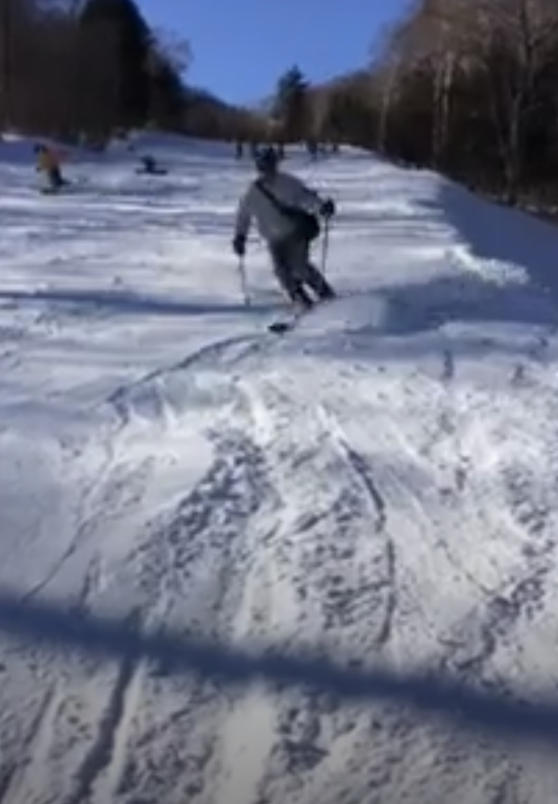 ski1